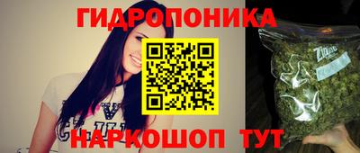 прущая мука Кимры