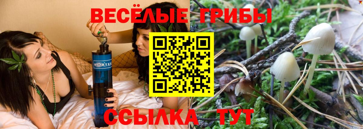 Псилоцибиновые грибы Psilocybine cubensis  Вход с VPN  Галлюциногенные грибы GOLDEN TEACHER  Качканар 
